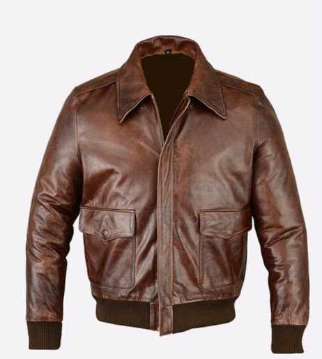 The Ultimate Guide On Genuine Leather Jackets - beauty chat blog